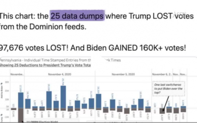 Vote Irregularities in Pennsylvania and Georgia: Data Expert