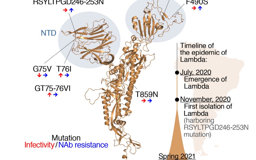 Deadly Lambda variant could be neutralizing vaccines, new study says