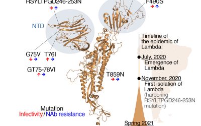 Deadly Lambda variant could be neutralizing vaccines, new study says