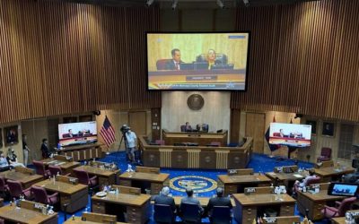 Arizona Senate Hears of Multiple Inconsistencies Found by Election Audit